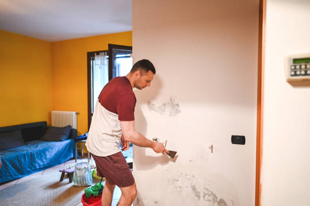 Best HVAC Mold Remediation in Poplar Grove, IL